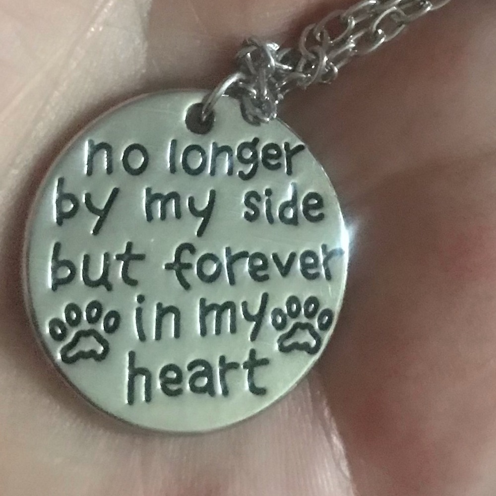 Brand new stainless steel necklace